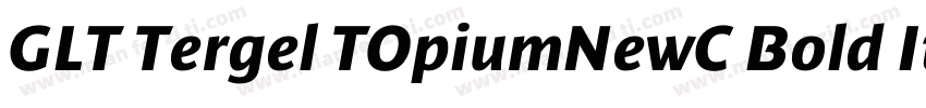 GLT Tergel TOpiumNewC Bold Italicig字体转换